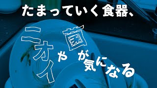 洗って除菌、庫内も除菌。食洗機対応マイボトルも洗える 食器洗い乾燥機 NP-TZ300【パナソニック公式】