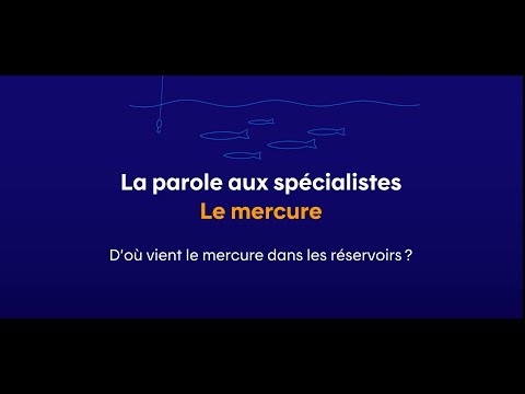 D’où vient le mercure dans les réservoirs?