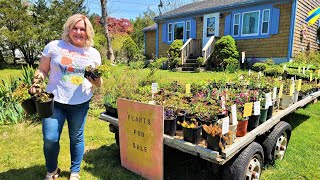 Roadside Plant Stand Plant Sale. Come Shop with Me! Perennials and Annuals!