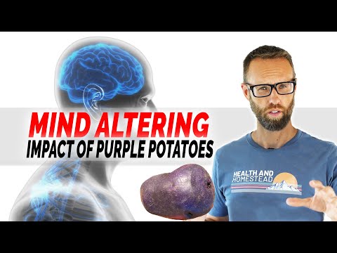 The Brain and Body Benefits of Purple/Blue Potatoes