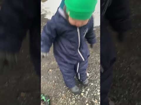 #live #like #shortvideo #рекомендации #лайк #качканар #сын #baby #shorts #как идти с садика#short