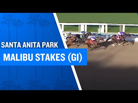 2024 $300,000 Malibu Stakes (G1) at Santa Anita Park