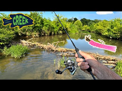 Little Lure Catches EVERYTHING in Tiny Creek