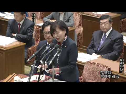 堤かなめ　衆議院・予算委員会　20231124