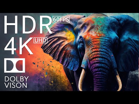 4K HDR 120fps Dolby Vision with Animal Sounds (Colorfully Dynamic) #80