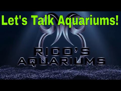 Let's Talk Aquariums