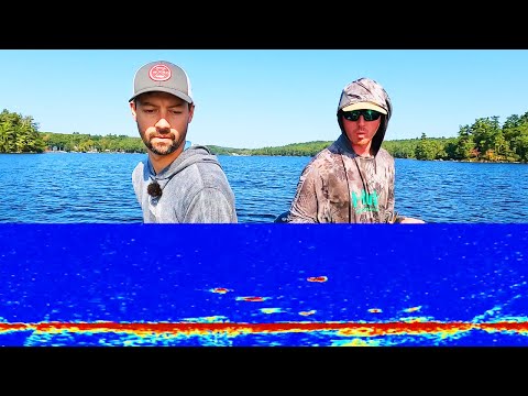 How to Find Fall Lake Trout - Sebago Lake