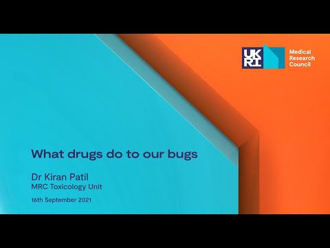 What drugs do to our bugs