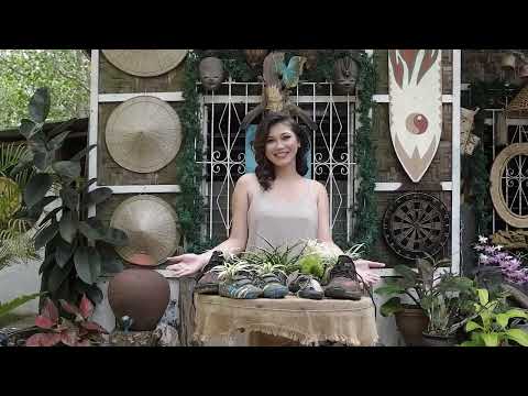 Eco Video of Miss Pantukan, Davao De Oro 2023 Athena Guardados