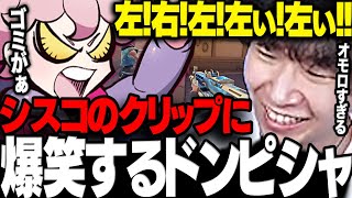 【ハルヴァロ】シスココーチの発狂クリップに爆笑するドンさんwww【三人称/ドンピシャ/96猫/ハイタニ/赤髪のとも/蛇足/ラプ様/KH/VALORANT/切り抜き】