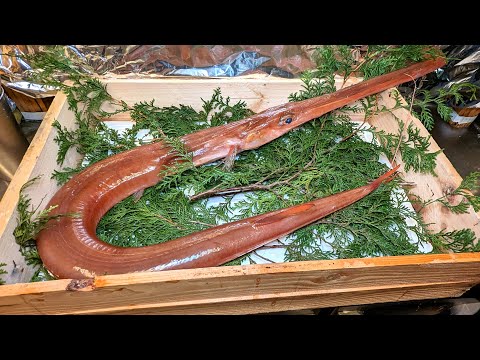 Giant RED CORNETFISH was cooked as sashimi, sushi and more - Japanese food