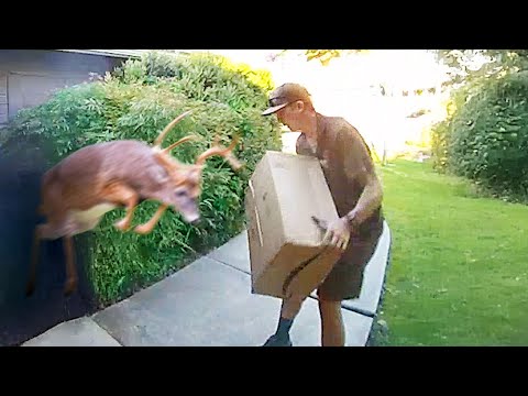 Best Delivery Driver Videos of the Decade