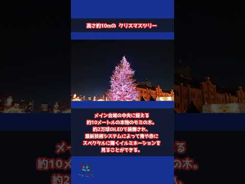 【過去最大規模】2024年最新版「Christmas Market in 横浜赤レンガ倉庫」をご紹介！ #shorts #横浜赤レンガ倉庫 #横浜 #赤レンガ倉庫 #Christmas Market