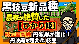 【黒枝豆】枝豆農家が挙って大絶賛する新品種登場《ひかり姫》誕生！丹波黒大豆を超えた枝豆へ！【アニメでわかる家庭菜園・ガーデニング解説】