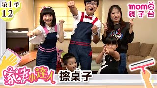 家事小達人 S1【擦桌子】第1季 第12集｜哥哥姐姐到你家，陪你做家事｜整理清潔DIY｜打掃髒污自己來｜還有家事小妙招要教給大家喔｜【親子台｜官方HD】momokids