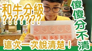 法蘭克肉品超市｜澳洲和牛?日本和牛? 和牛分級介紹一次懂!