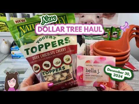 Awesome DOLLAR TREE HAUL!!  Amazing Finds!! December 30, 2024