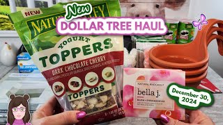 Awesome DOLLAR TREE HAUL!!  Amazing Finds!! December 30, 2024