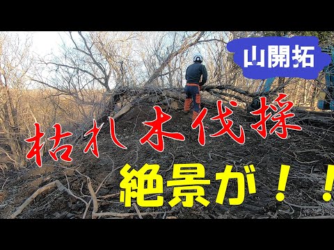 【山開拓】枯れ木伐採が完了したら見違える景色が！！