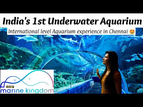 VGP Marine Kingdom | Exploring Chennai | India's first Underwater tunnel aquarium | Must visit place