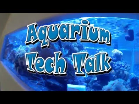 DC Water Pumps, LA Fishguys Tech Talk Episode 152, part 1