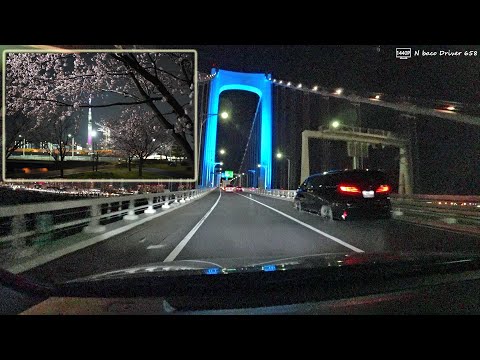 【N-WGN車載】2024年3月撮影 夜桜見物と夜の首都高