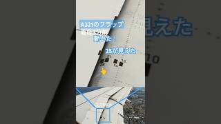 ✈️フラップが動いた　目盛りが14→21→25　A321の主翼　熊本空港に向かう着陸3分前　#フラップ #飛行機の窓から見た #a321 #flap #scale