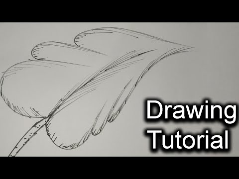 See how to draw a tree leaf | Drawing Tutorial Episode 3 | Rupkothar Golpo