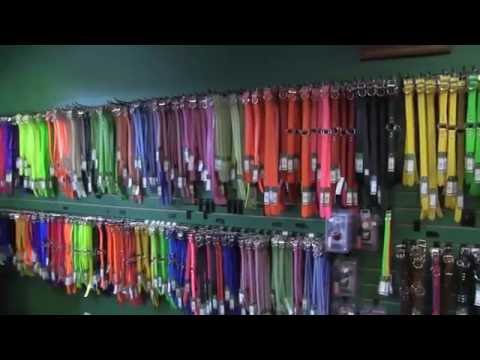 Lion Country Supply DayGlo and LeatherFeel Dog Collars