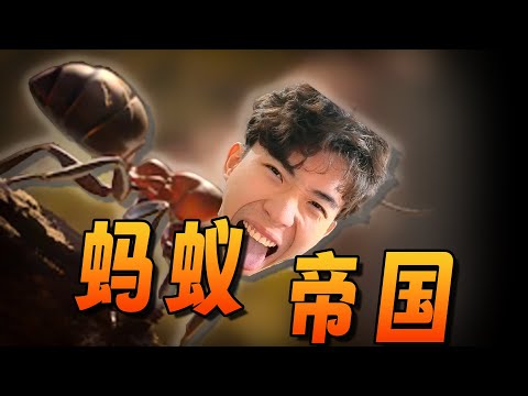 我成為了一隻螞蟻！【螞蟻帝國】