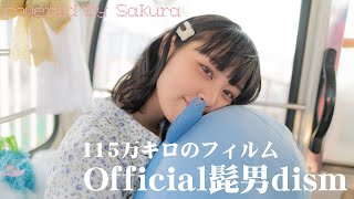 115万キロのフィルム - Official髭男dism covered by Sakura(50天)【女性が歌う】