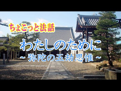 ちょこっと法話「わたしのために～弥陀の五劫思惟～」