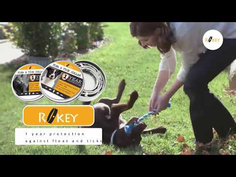 Rokey Flea and Tick Collar For Dogs - 12-Month Flea And Tick Prevention