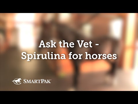 Ask the Vet - Spirulina for horses