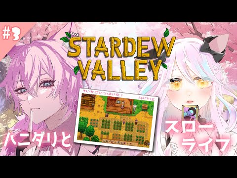 ♦【#stardewvalley 】我ら松明を設置し隊　春後半に挑戦！【新人Vtuber/夜繋しず/夜凪みいは/#ハニダリ】