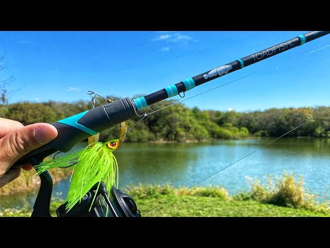 The Fishing Rod That Gives BACK - Toadfish Review