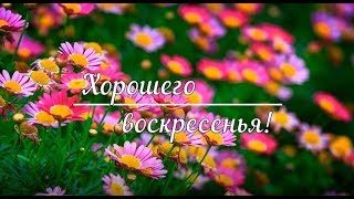 Воскресенье! Воскресный день! Желаю Вам хорошего отдыха! Выходной Пожелания Воскресенье