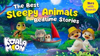 3 Goodnight Stories Collections 😴 The IDEAL Soothing Animal Bedtime Stories for Kids and Toddlers