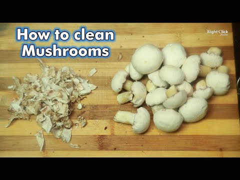 How to clean Mushrooms | Mushroom Cleaning | Mushrooms | How to clean Mushrooms easily |