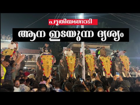 പുതിയങ്ങാടി നേർച്ചകിടെ ആന യിടഞ്ഞു നിരവധി ആളുകൾക്ക് പരിക്ക് #elephentattack