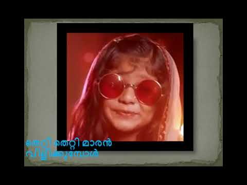 തെറ്റി തെറ്റി മാരൻ വിളിക്കുമ്പോൾ adipoli  mappila song.