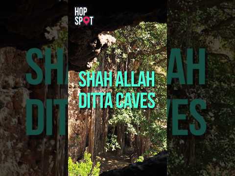 Shah Allah Ditta Caves