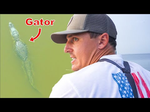 GATOR Hunting INFESTED Florida Lake (Prehistoric BEASTS!!!)