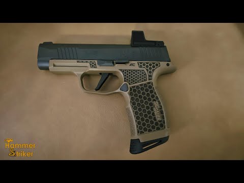 Armory Craft Sig P365XL - I Updated My SIG With Armory Craft Parts!!