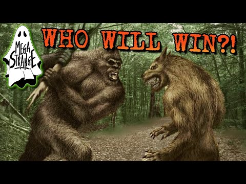 Cryptid Fight! : Mega Strange Mailbag #28