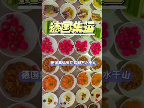 食品如何邮寄到德国？#国际集运 #国际快递 #国际物流