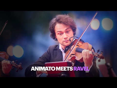 Ravel: String Quartet in F major, IV. Vif et agité - Animato Quartet - Live concert HD