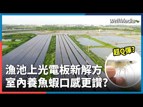 室內養殖新革命！漁電共生創驚人產業契機？魚蝦口感更Q彈？【Well Talk】