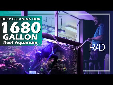 STIRRING AND SIPHONING OUT ALL OUR 1680-GALLON REEF AQUARIUM AT THE REEF AQUARIA DESIGN SHOWROOM.