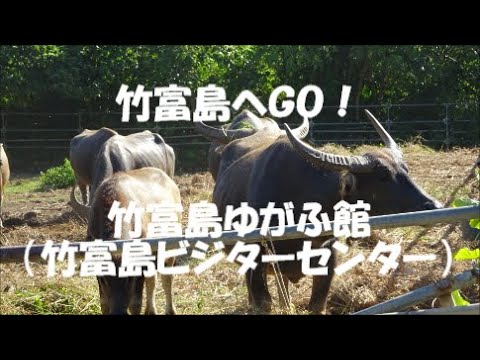 竹富島へＧＯ！ 竹富島ゆがふ館（竹富島ビジターセンター）＃石垣島